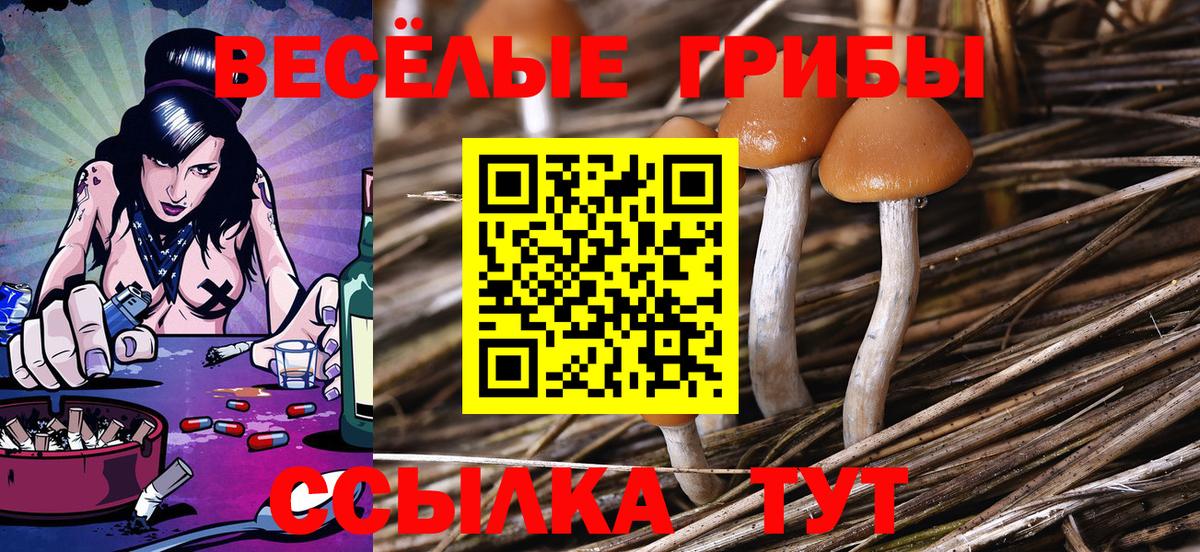 Лосино-Петровский  купить наркотик  Вход с VPN  Галлюциногенные грибы GOLDEN TEACHER 