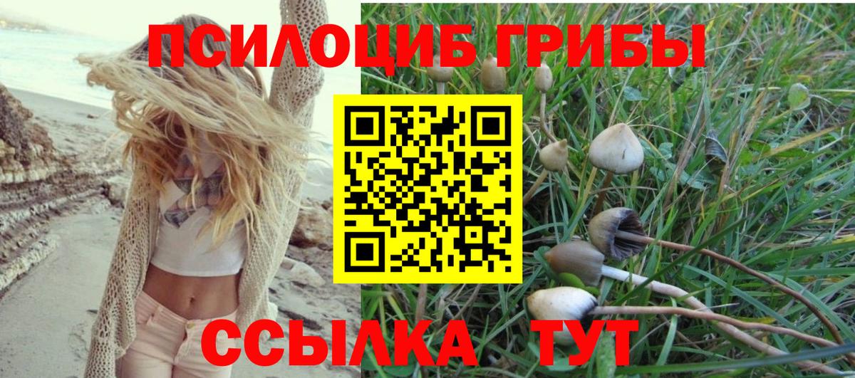 Псилоцибиновые грибы мицелий Лосино-Петровский